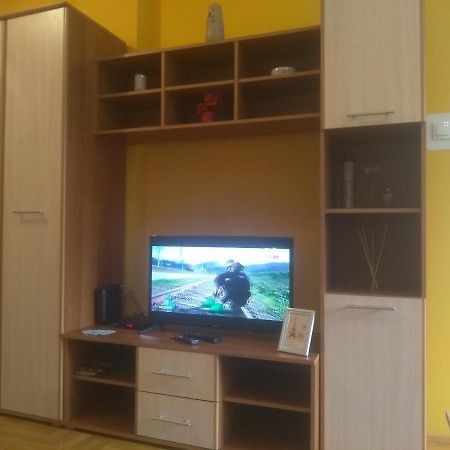 Apartman Marina Sa Garazom Novi Sad Buitenkant foto