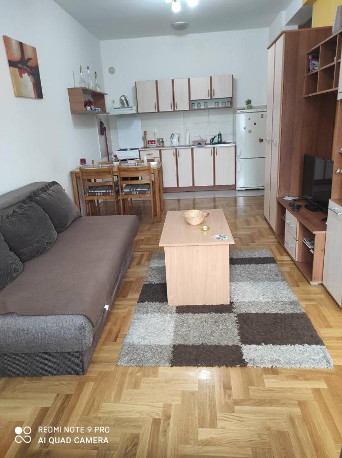 Apartman Marina Sa Garazom Novi Sad Buitenkant foto