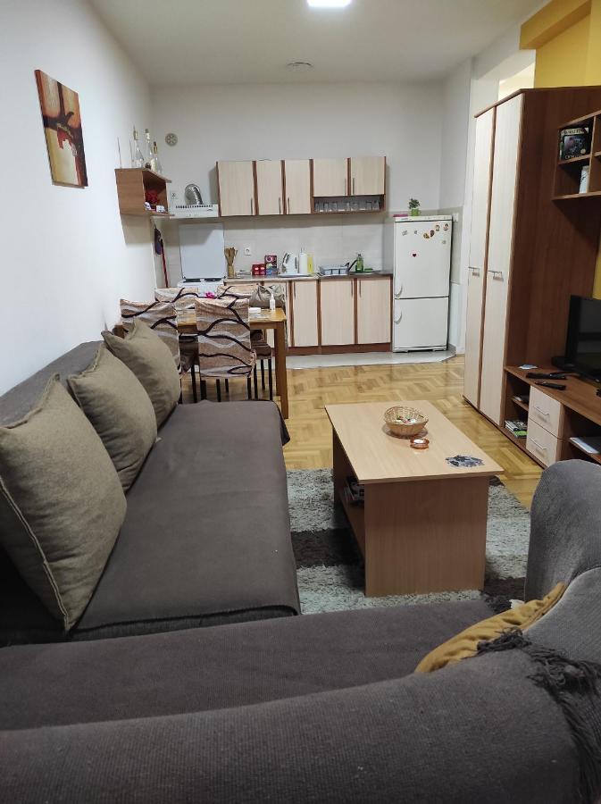 Apartman Marina Sa Garazom Novi Sad Buitenkant foto