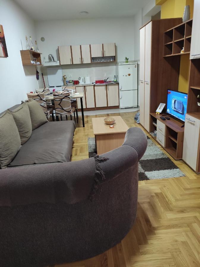 Apartman Marina Sa Garazom Novi Sad Buitenkant foto