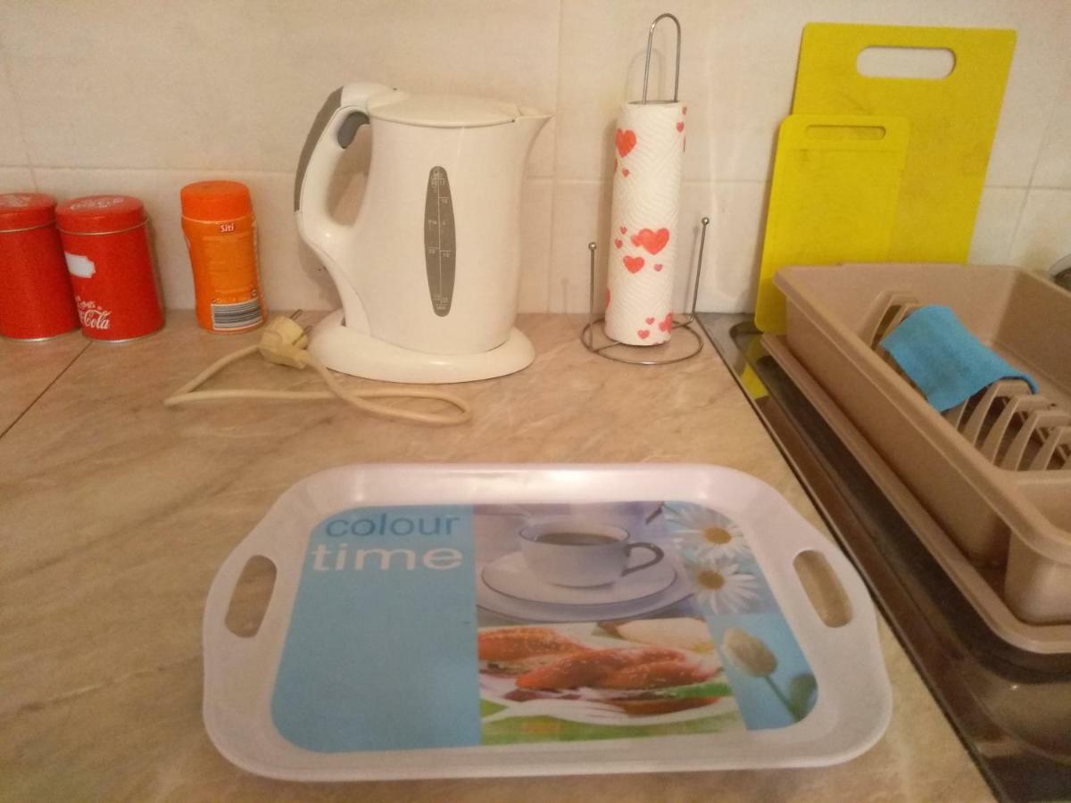 Apartman Marina Sa Garazom Novi Sad Buitenkant foto