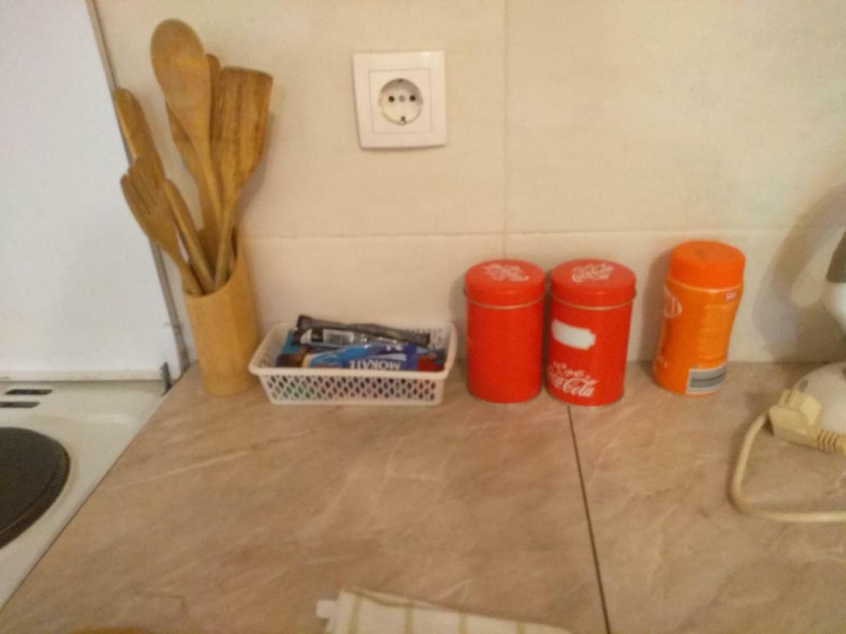 Apartman Marina Sa Garazom Novi Sad Buitenkant foto