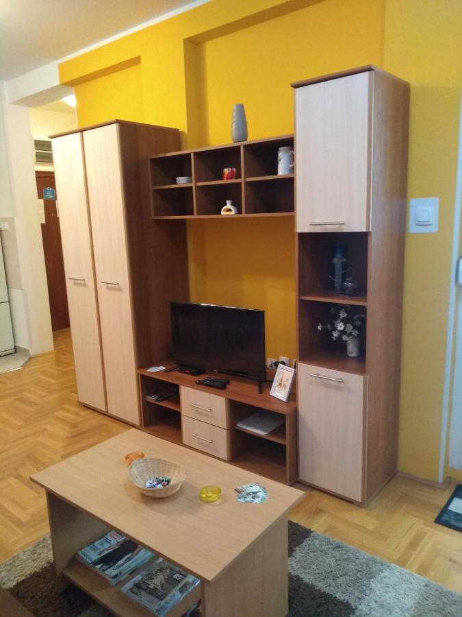 Apartman Marina Sa Garazom Novi Sad Buitenkant foto